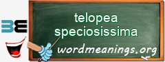 WordMeaning blackboard for telopea speciosissima